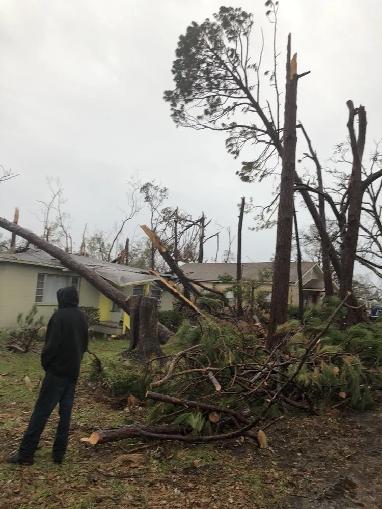 Local landscape installation with custom design in Chicago, IL by Singleton Landscaping and Tree