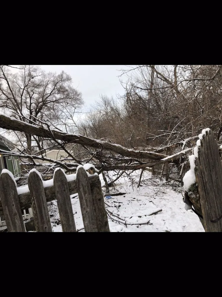 Professional landscape design in Chicago, IL by Singleton Landscaping and Tree