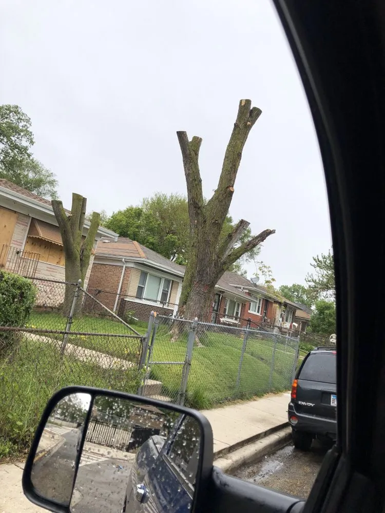 Professional lawn care service for outdoor upgrades in Chicago, IL by Singleton Landscaping and Tree