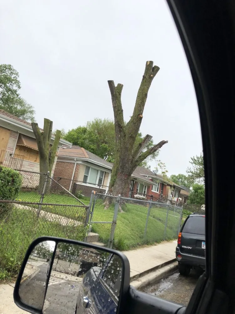 Professional landscaping services in Chicago, IL - Singleton Landscaping and Tree