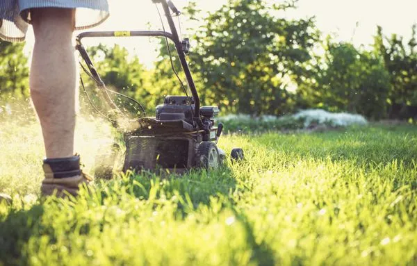 Singletons Lawn Care Logo