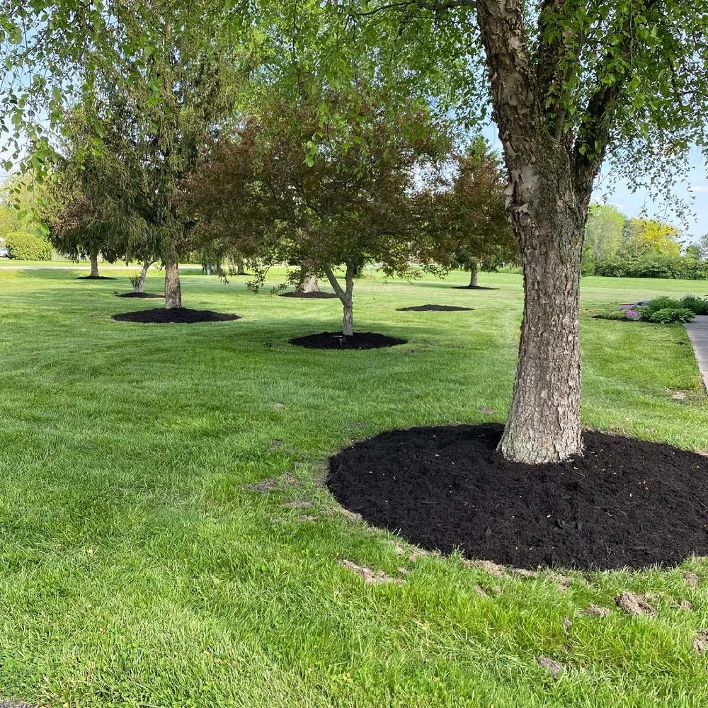 Top-rated landscape design in Blanchester, OH - Sip City Lawnscapes
