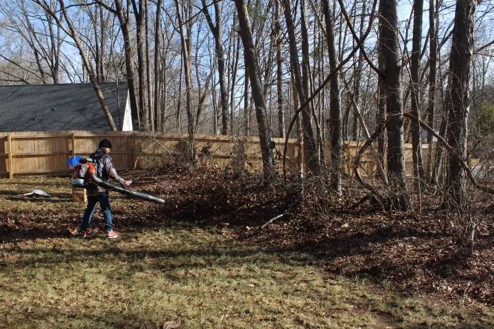 Top-rated lawn care service near you in Charlotte, NC by Sipe's Sights Premium Landscaping