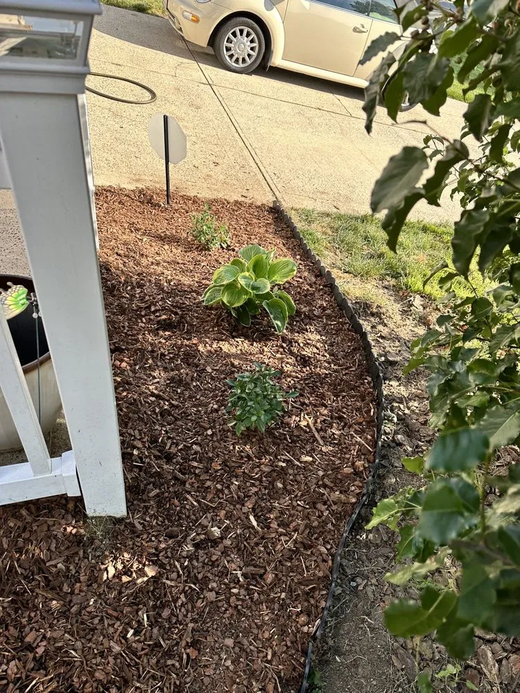 Trusted lawn care service for year-round maintenance across Charlotte, NC - Sipe's Sights Premium Landscaping