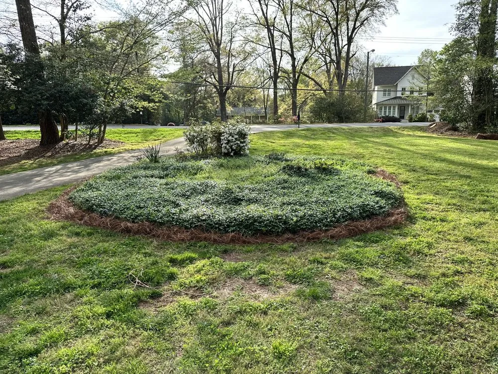 Affordable outdoor landscaping in Charlotte, NC by Sipe's Sights Premium Landscaping