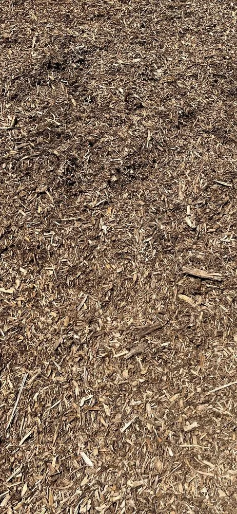 Expert yard maintenance in Watervliet, MI by Sipla Landscape Company