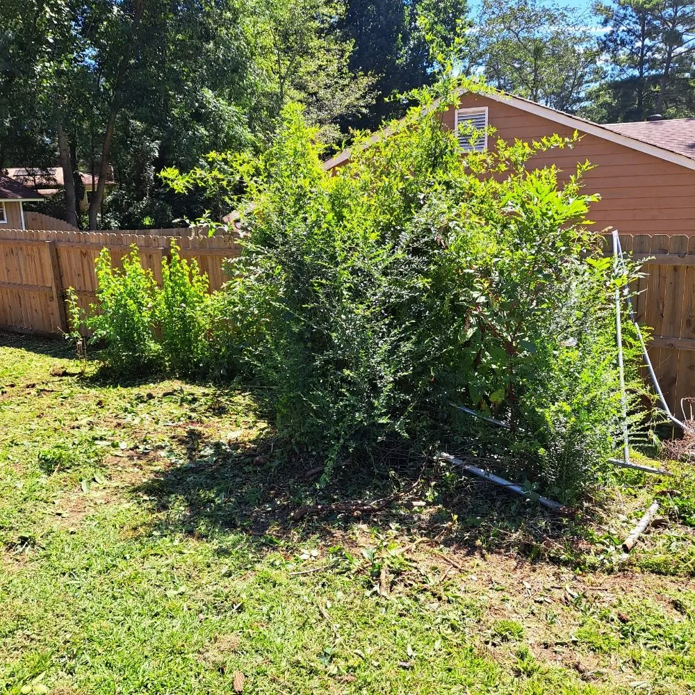 Custom yard maintenance in Morrow, GA - Sir Garvin Landscape