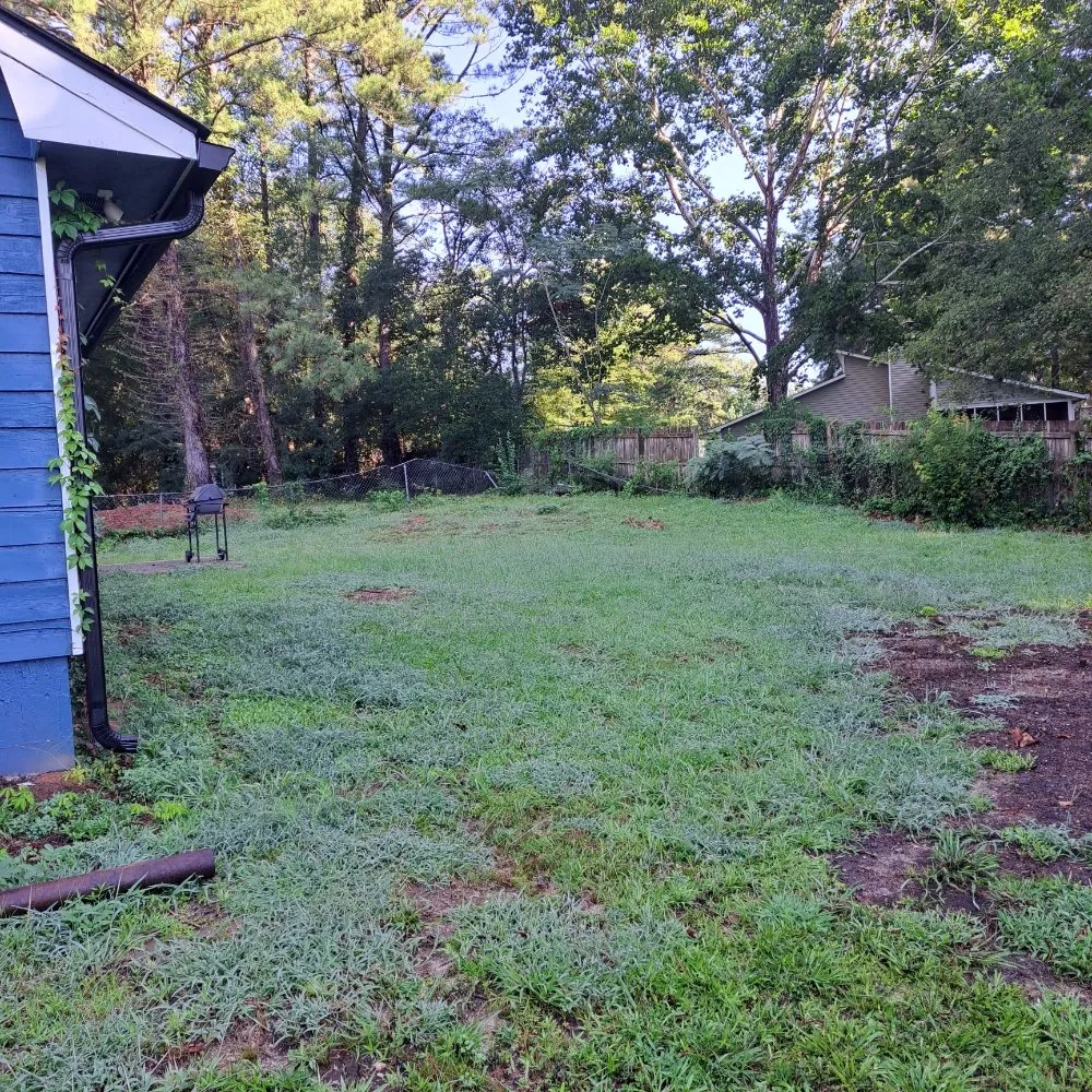 Expert residential landscaping in Morrow, GA - Sir Garvin Landscape