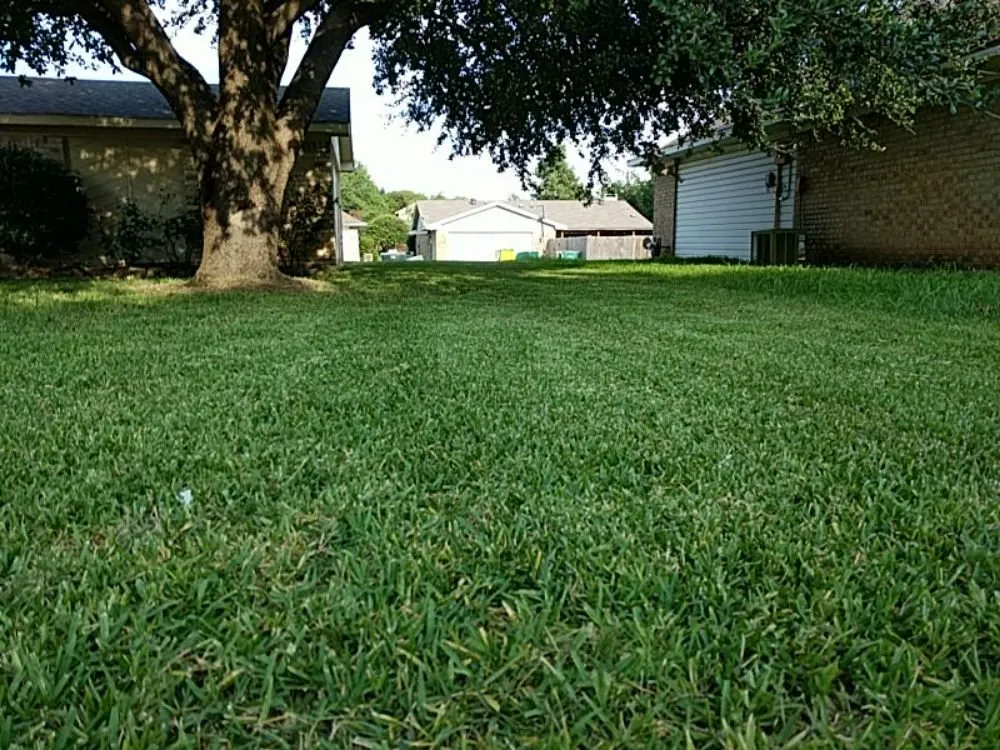Custom yard cleanup service in Denton, TX by Sir Mows A Lot