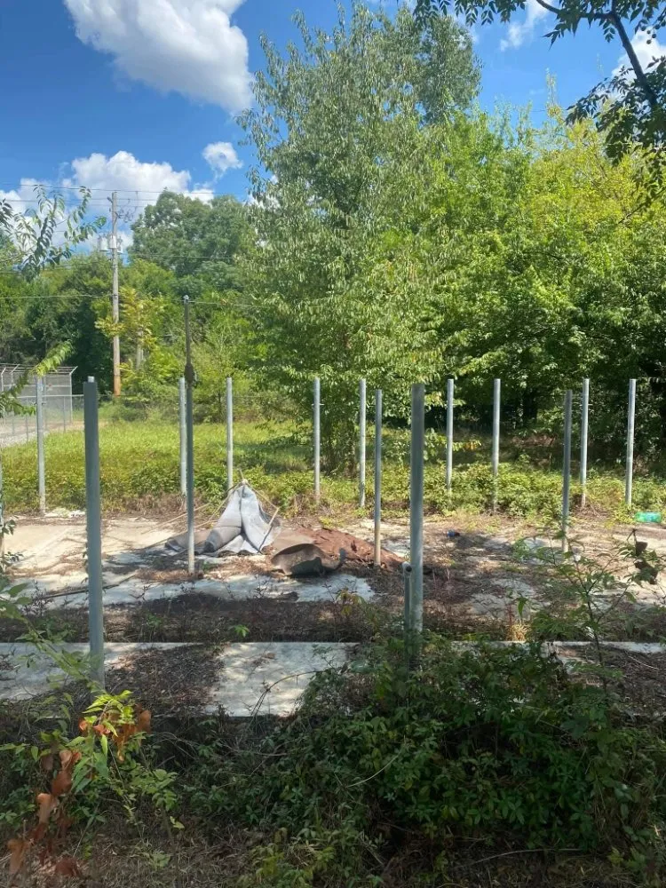 Local yard cleanup service for homes in Leesburg, GA by Sir-Price Lawn & Landscaping