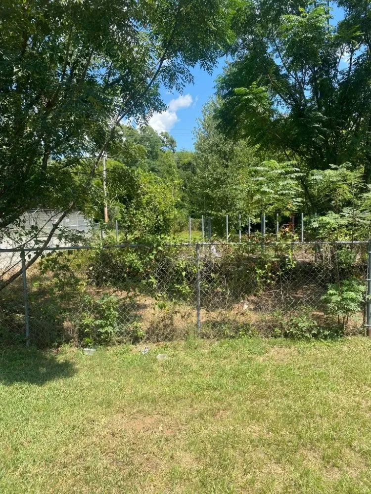 Custom landscape installation for homes in Leesburg, GA by Sir-Price Lawn & Landscaping