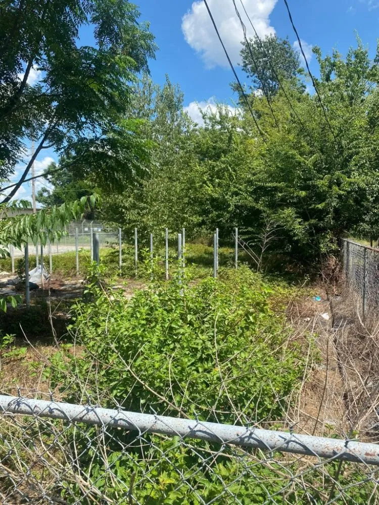 Custom landscaping services for beautiful yards across Leesburg, GA - Sir-Price Lawn & Landscaping