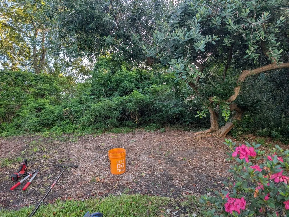 Affordable landscape design for residential properties across St. Augustine, FL - Sir Weeds a Lot