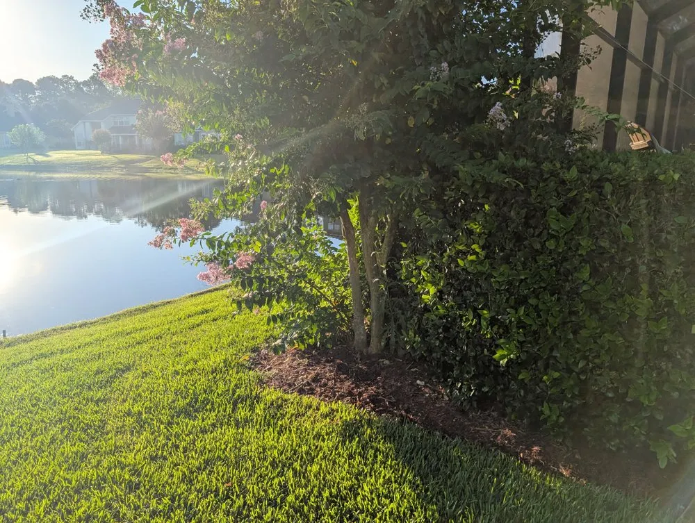 Professional yard cleanup service near you across St. Augustine, FL - Sir Weeds a Lot