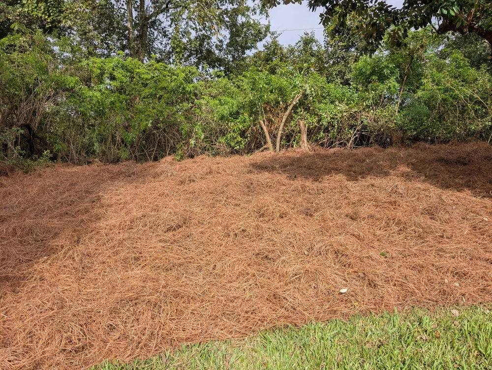 Local residential landscaping in St. Augustine, FL by Sir Weeds a Lot