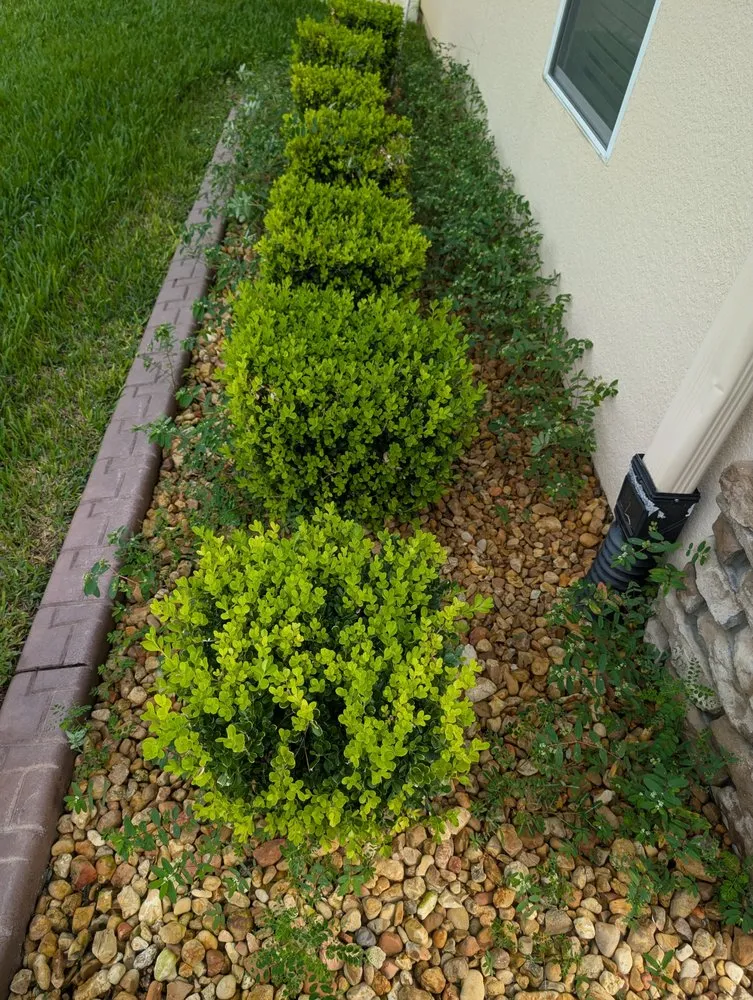 Professional lawn mowing service in St. Augustine, FL - Sir Weeds a Lot
