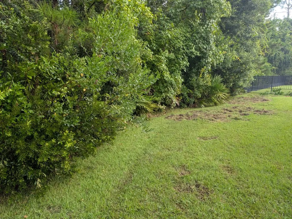 Reliable lawn care service in St. Augustine, FL - Sir Weeds a Lot