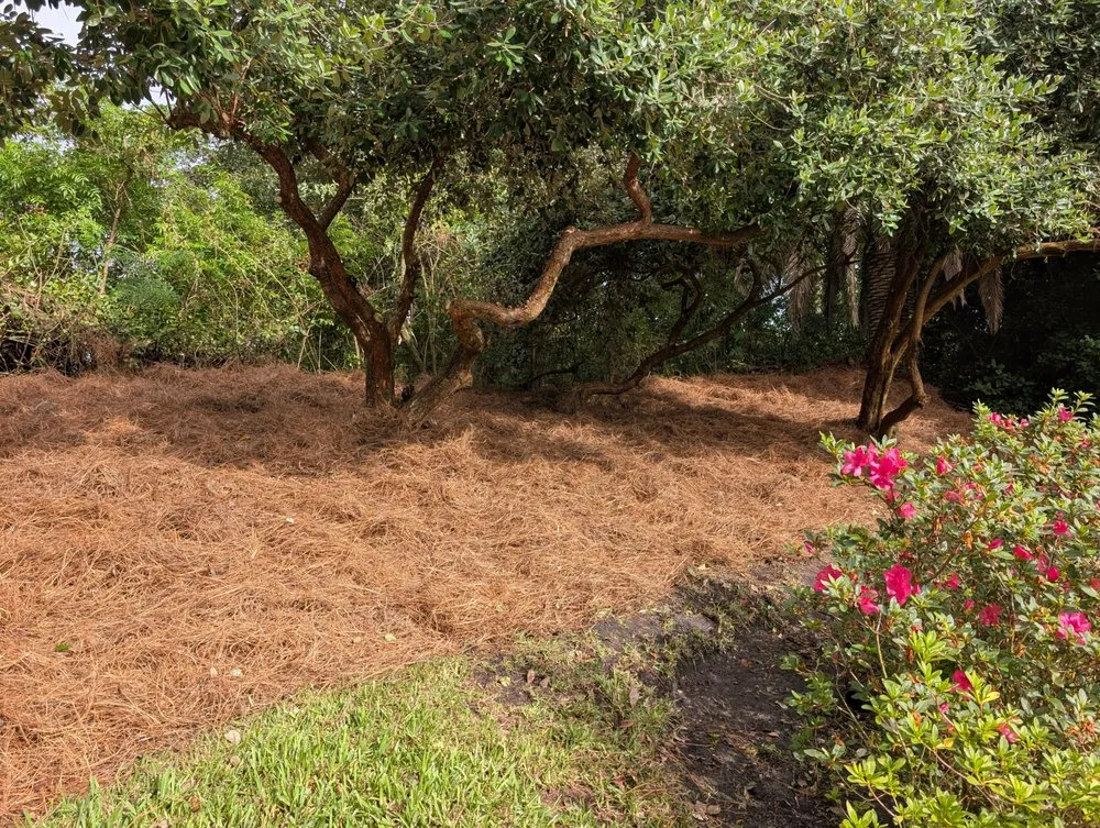 Top-rated lawn mowing service for outdoor upgrades across St. Augustine, FL - Sir Weeds a Lot