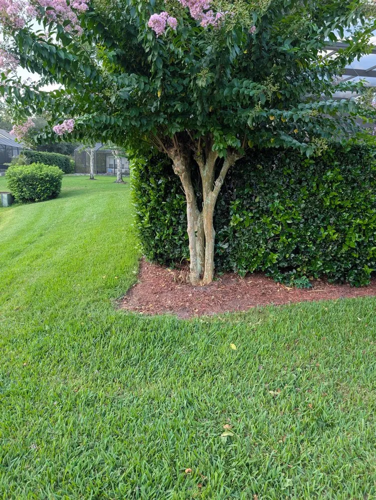 Professional yard maintenance in St. Augustine, FL - Sir Weeds a Lot