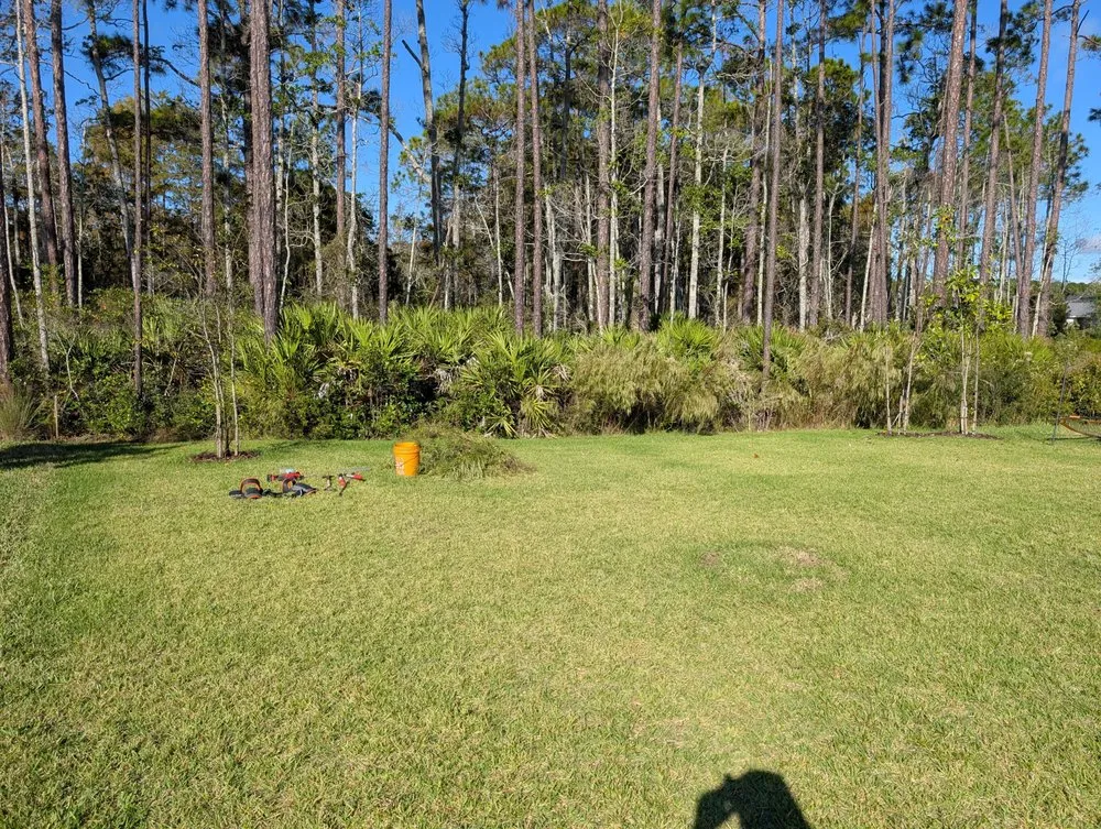 Custom landscape design experts serving St. Augustine, FL - Sir Weeds a Lot