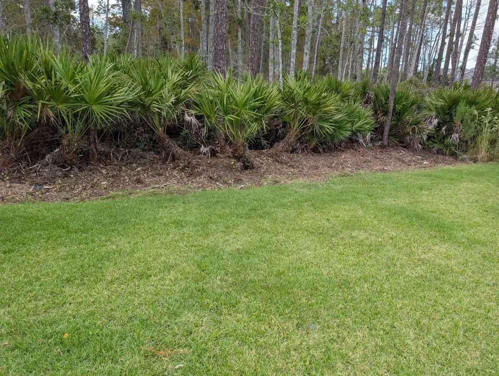 Reliable yard cleanup service in St. Augustine, FL - Sir Weeds a Lot