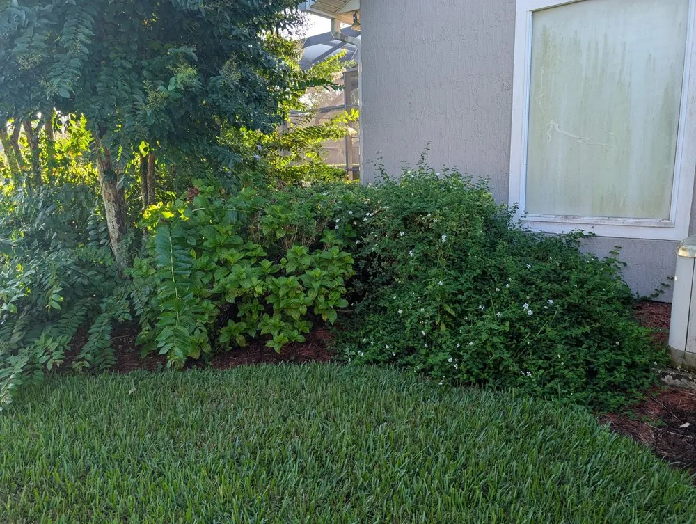 Expert yard maintenance in St. Augustine, FL - Sir Weeds a Lot