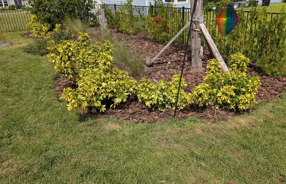 Professional landscape installation in St. Augustine, FL - Sir Weeds a Lot