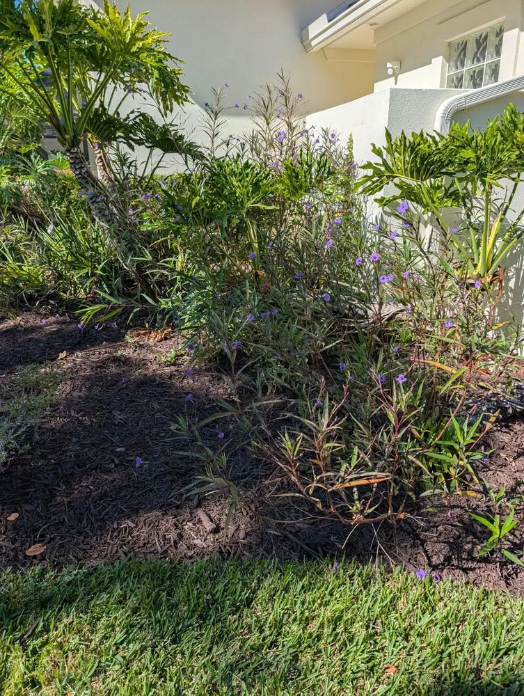 Trusted yard maintenance for beautiful yards across St. Augustine, FL - Sir Weeds a Lot