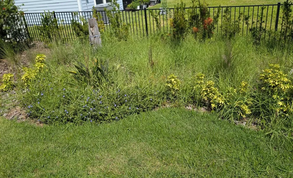 Local landscaping services in St. Augustine, FL by Sir Weeds a Lot