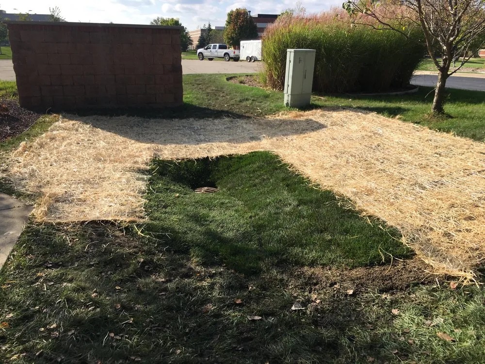 Top-rated landscape installation experts serving Plymouth, MI - Sir Williams Drainage and Waterproofing Solutions