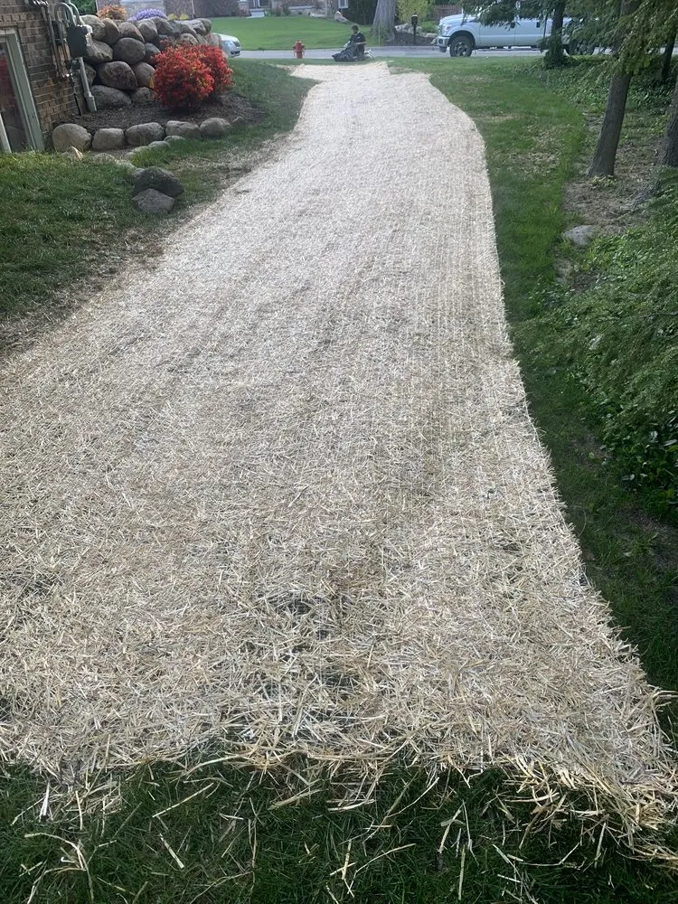 Professional outdoor landscaping in Plymouth, MI - Sir Williams Drainage and Waterproofing Solutions