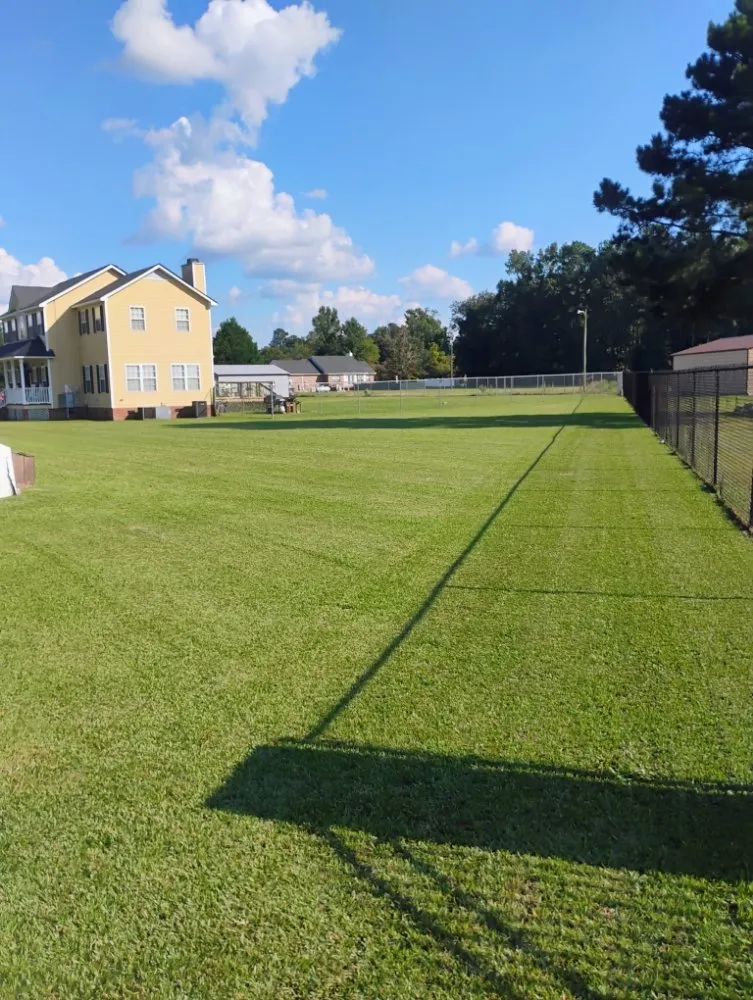 Top-rated yard maintenance for outdoor upgrades in Fayetteville, NC by Sirahtal Lawn Care
