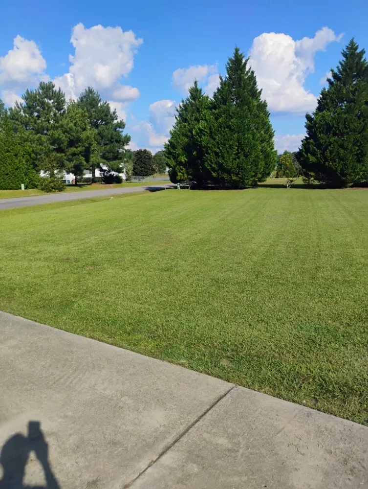 Trusted yard cleanup service experts serving Fayetteville, NC - Sirahtal Lawn Care