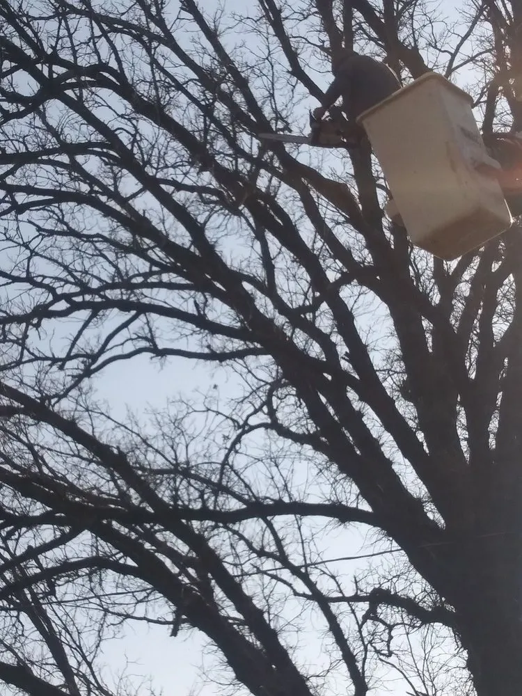 Expert landscape installation for residential properties across Siren, WI - Siren Tree Service