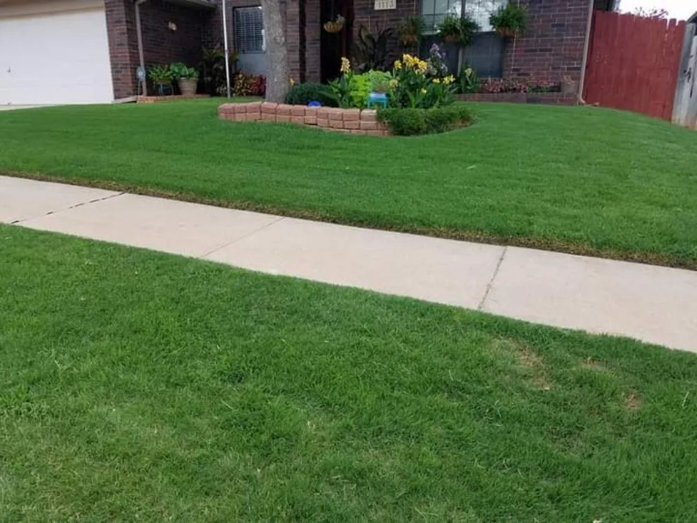 Reliable yard cleanup service in Oklahoma City, OK by Sirius Lawn Services