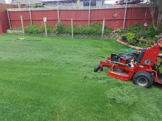 Sirius Lawn Services Logo