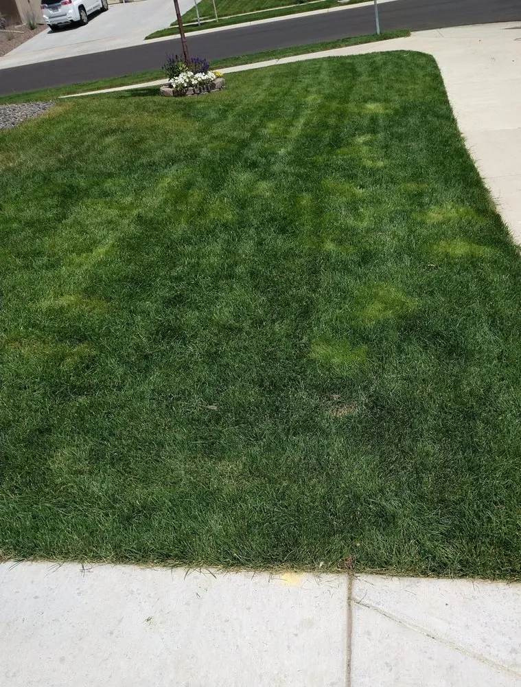 Top-rated lawn mowing service experts serving Erie, CO - Sisk Landscaping