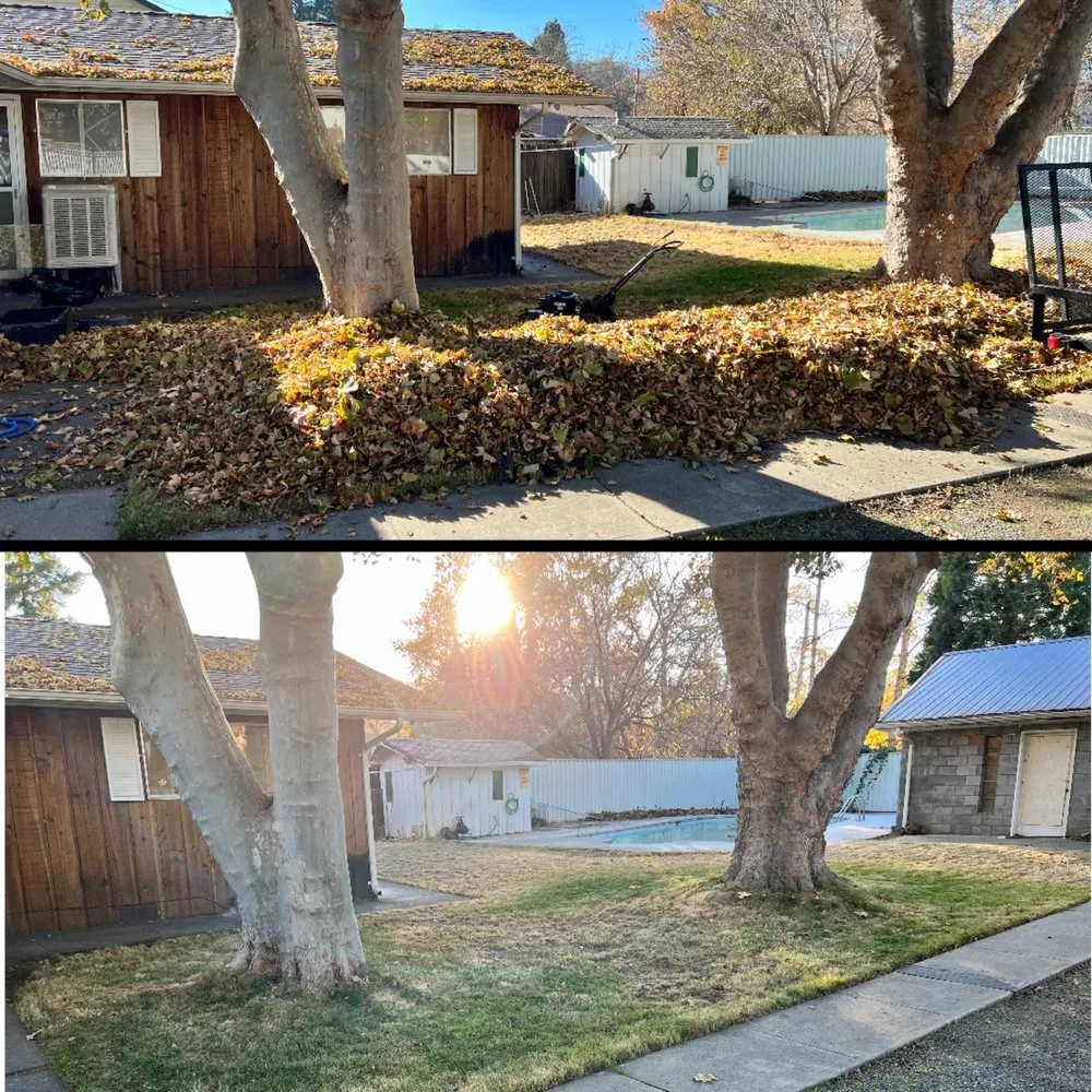 Custom lawn mowing service in Weed, CA by Siskiyou Maintenance