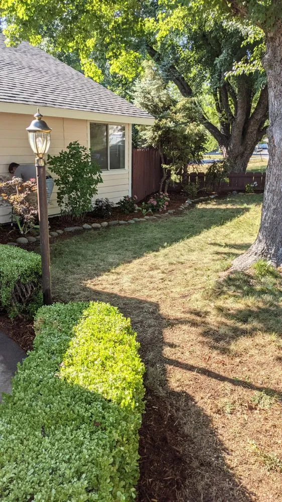 Local yard maintenance experts serving Weed, CA - Siskiyou Maintenance