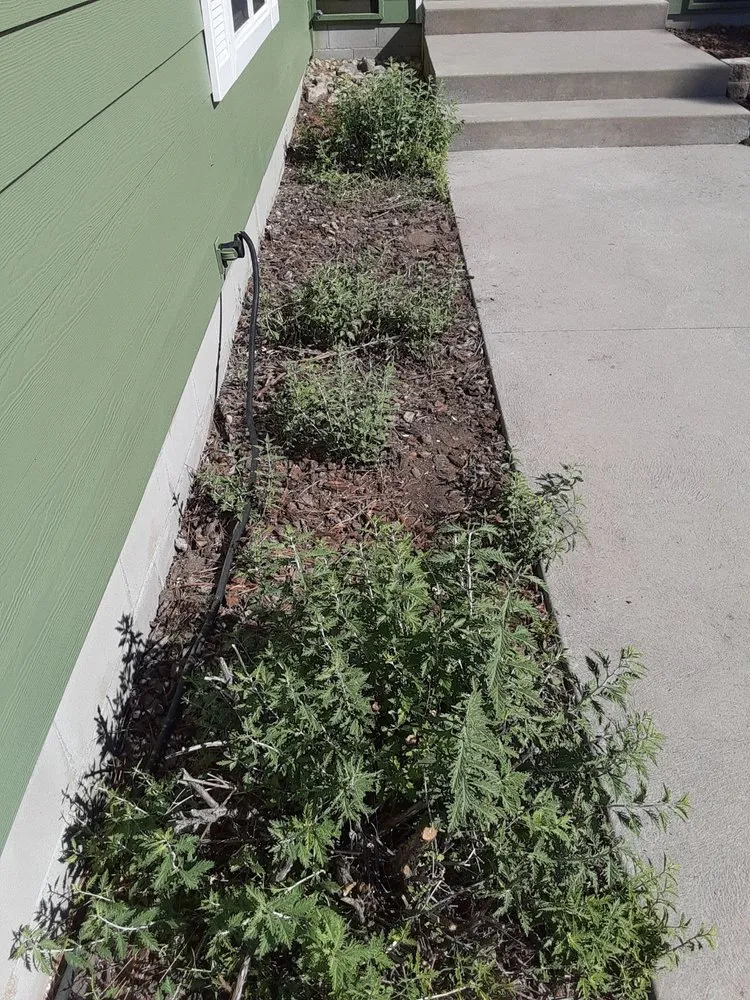 Custom landscape design experts serving Weed, CA - Siskiyou Maintenance