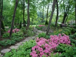 Trusted residential landscaping in Great Falls, VA - Sisson Landscapes