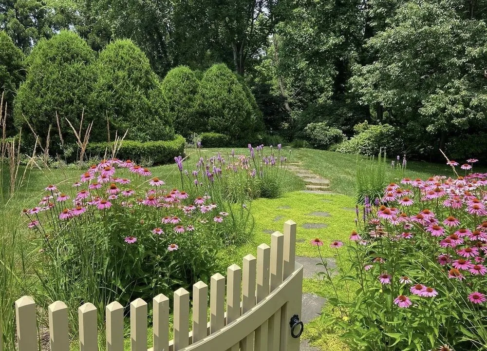 Local landscape design in Great Falls, VA - Sisson Landscapes