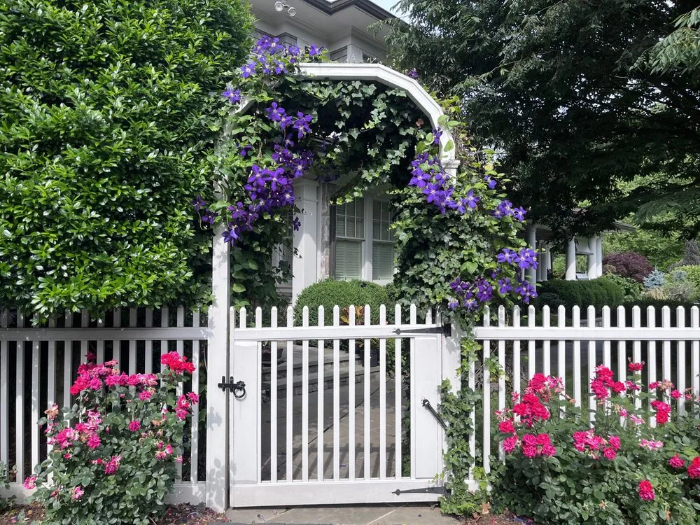 Custom yard cleanup service for outdoor upgrades in Great Falls, VA by Sisson Landscapes