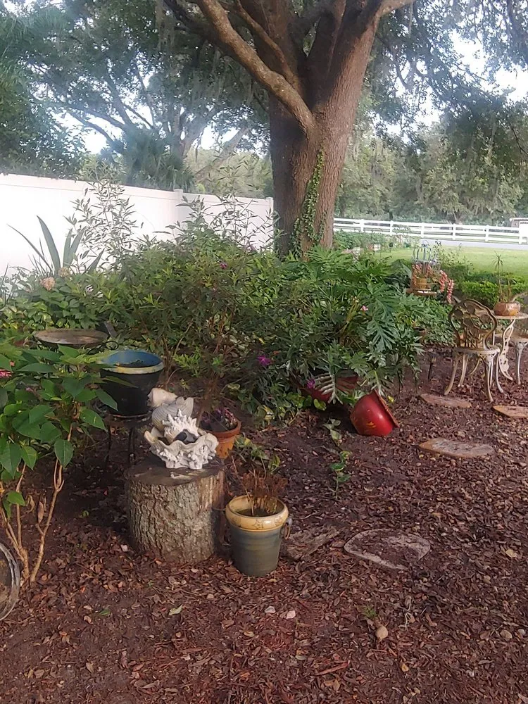 Expert landscape design in Spring Hill, FL by Sissy's Cleaning Service