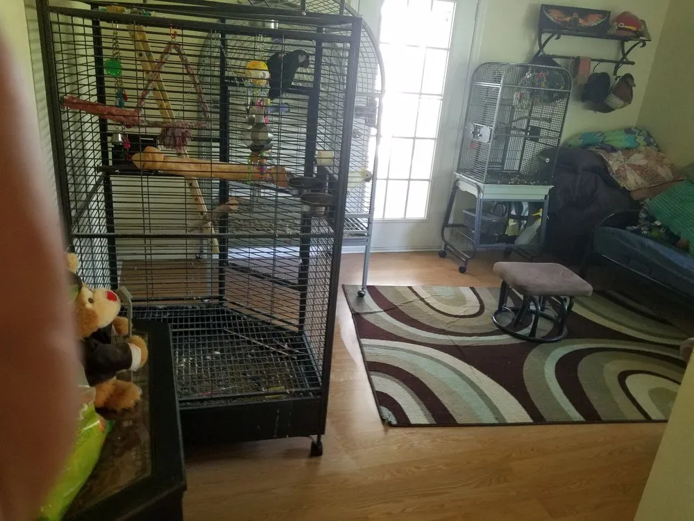 Top-rated lawn mowing service in Spring Hill, FL by Sissy's Cleaning Service