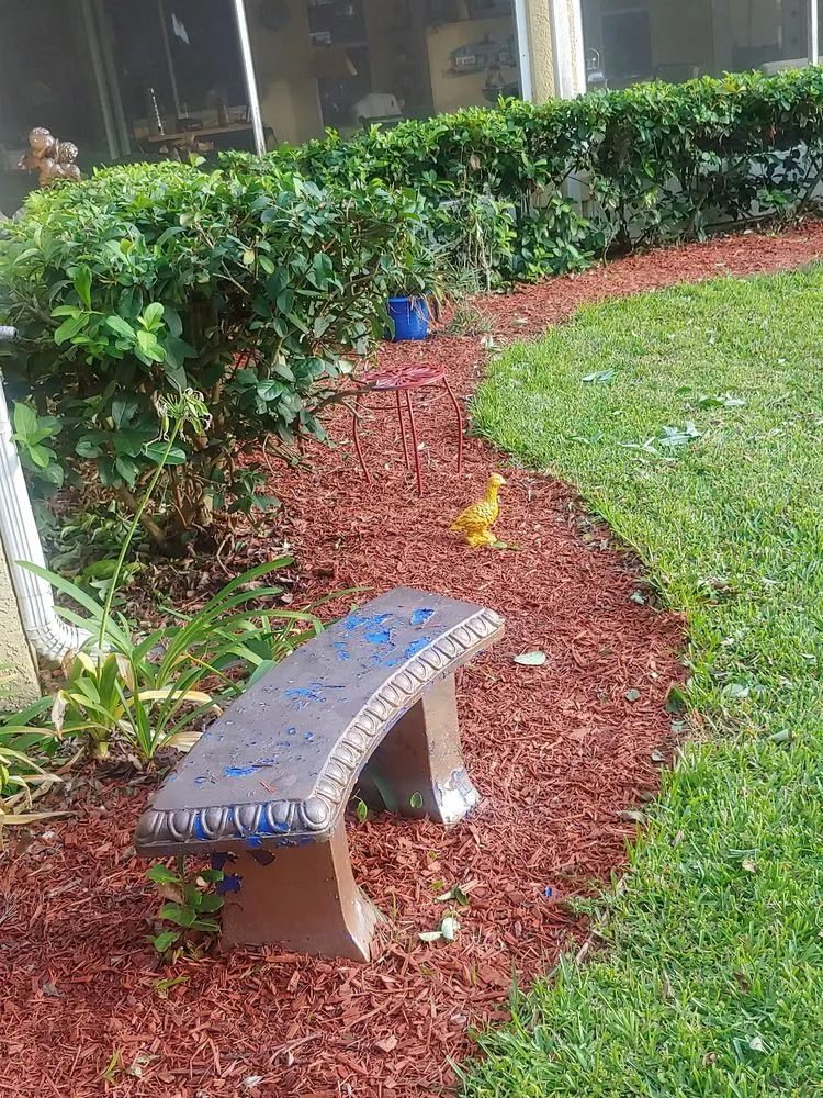 Trusted yard maintenance for year-round maintenance in Spring Hill, FL by Sissy's Cleaning Service