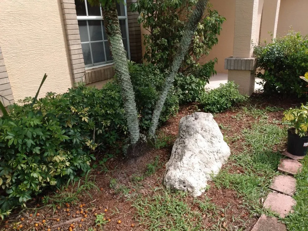Local landscape design experts serving Spring Hill, FL - Sissy's Cleaning Service