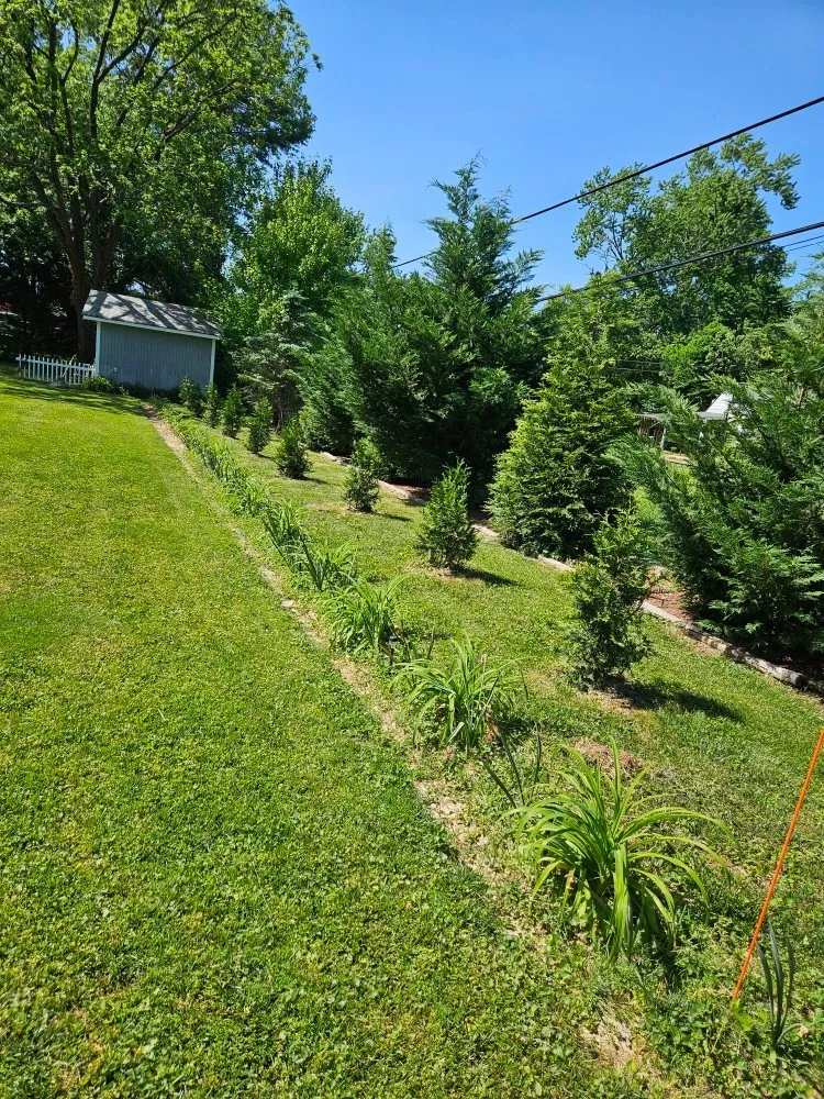 Trusted lawn care service experts serving Fredericksburg, VA - Sisters With A Mower