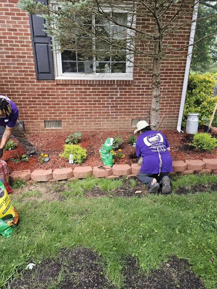 Top-rated yard cleanup service experts serving Fredericksburg, VA - Sisters With A Mower