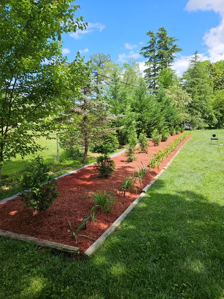 Top-rated landscape installation in Fredericksburg, VA by Sisters With A Mower